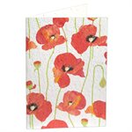 CARD POPPY SEED BLANK WITH ENVELOPE